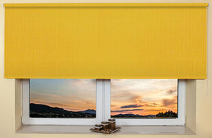 Sieninis / lubų roletas 170x170 cm, 858 Geltona kaina ir informacija | Roletai | pigu.lt