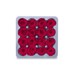Stabilizuotos Princess rožytės 16 vnt., raudonos kaina ir informacija | Miegančios rožės, stabilizuoti augalai | pigu.lt