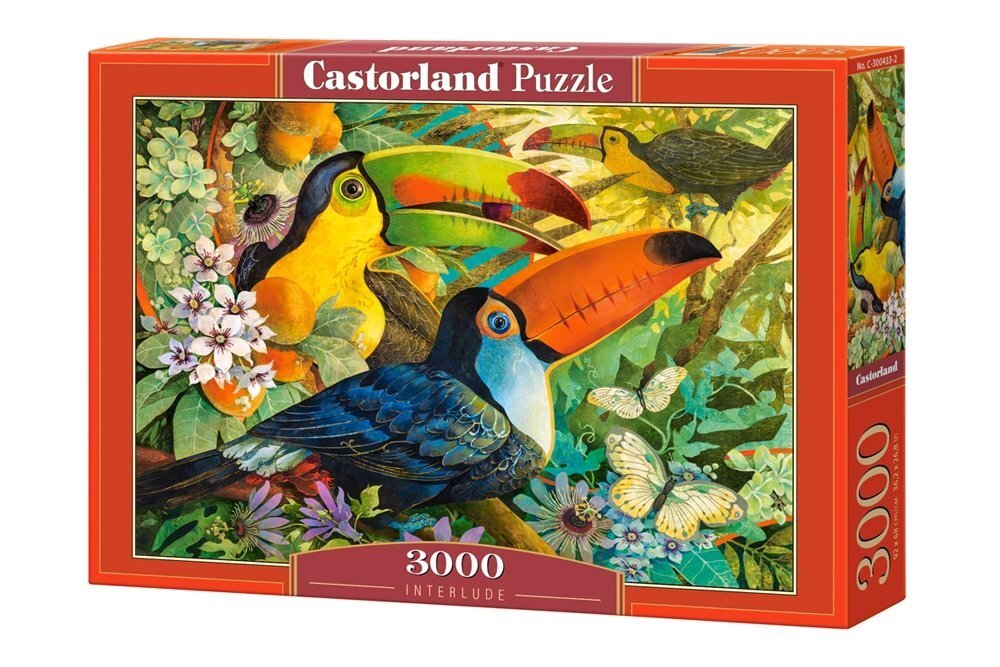 Dėlionė Castorland Puzzle, 3000 d. kaina ir informacija | Dėlionės (puzzle) | pigu.lt