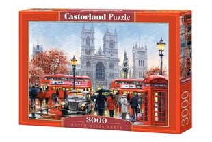 Dėlionė Castorland Puzzle, 3000 d. kaina ir informacija | Dėlionės (puzzle) | pigu.lt