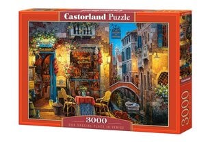 Dėlionė Castorland Puzzle, 3000 d. kaina ir informacija | Dėlionės (puzzle) | pigu.lt