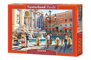 Dėlionė Castorland Puzzle, 3000 d. kaina ir informacija | Dėlionės (puzzle) | pigu.lt