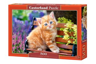 Dėlionė Castorland Puzzle Ginger Kitten, 500 d. kaina ir informacija | Dėlionės (puzzle) | pigu.lt