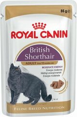 Royal Canin для британских короткошерстных кошек, 85 г x 12 шт. цена и информация | Консервы для кошек | pigu.lt