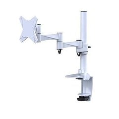 NewStar Flatscreen Desk Mount FPMA-D1330WHITE цена и информация | Кронштейны для монитора | pigu.lt