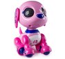 Robotas šuniukas Zoomer Zupps, 6033742 kaina ir informacija | Žaislai mergaitėms | pigu.lt