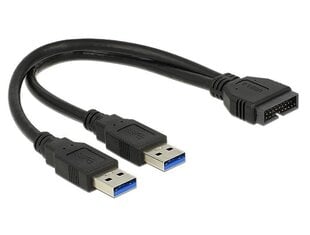 Delock 83910, USB-A/USB-pin, 25 cm kaina ir informacija | Kabeliai ir laidai | pigu.lt