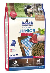 Bosch Tiernahrung Junior Lamb & Rice - 3 kg kaina ir informacija | Sausas maistas šunims | pigu.lt