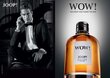 Tualetinis vanduo Joop! Wow EDT vyrams 60 ml kaina ir informacija | Kvepalai vyrams | pigu.lt