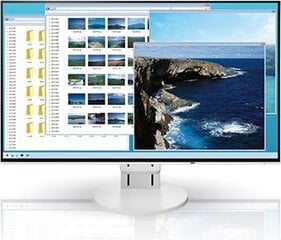 Eizo FlexScan EV2451 цена и информация | Мониторы | pigu.lt