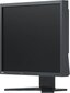 Eizo FlexScan S1934H-BK kaina ir informacija | Monitoriai | pigu.lt