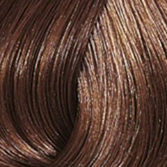 Plaukų dažai Wella Professionals Color Touch 60 ml, 6/73 kaina ir informacija | Plaukų dažai | pigu.lt