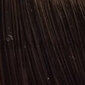 Plaukų dažai L'Oreal Professionnel Inoa 60 ml, 5.0 Light Brown Deep Cover kaina ir informacija | Plaukų dažai | pigu.lt