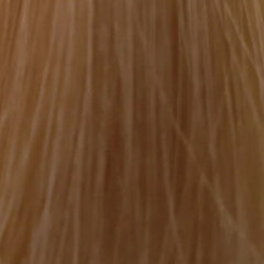 Краска для волос L'oreal Inoa High Resist 10.23, 60 мл цена и информация | Краска для волос | pigu.lt