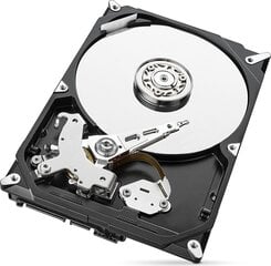 Seagate BarraCuda 1TB 6Gb/s SATA, ST1000DM010 kaina ir informacija | Vidiniai kietieji diskai (HDD, SSD, Hybrid) | pigu.lt