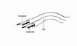 Gembird 3.5mm 3M CCA-423-3M kaina ir informacija | Kabeliai ir laidai | pigu.lt