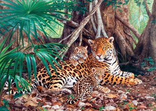 Пазл Costarland Jaguars In The Jungle, 3000 дет. цена и информация | Пазлы | pigu.lt