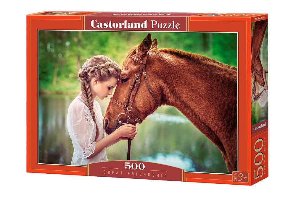 Dėlionė Puzzle Castorland Great Friendship, 500 det kaina ir informacija | Dėlionės (puzzle) | pigu.lt