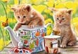 Dėlionė Puzzle Castorland Tea Time, 500 dalių kaina ir informacija | Dėlionės (puzzle) | pigu.lt