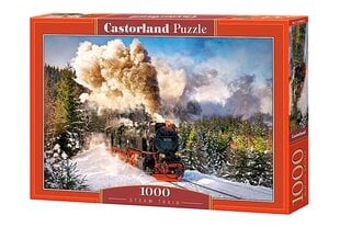 Пазл Puzzle Castorland Steam Train, 1000 деталей цена и информация | Пазлы | pigu.lt