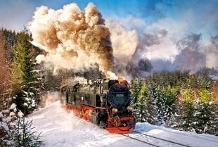 Пазл Puzzle Castorland Steam Train, 1000 деталей цена и информация | Пазлы | pigu.lt