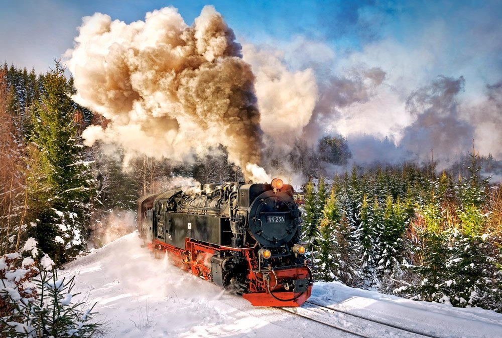 Dėlionė Castorland Puzzle Steam Train, 1000 d. kaina ir informacija | Dėlionės (puzzle) | pigu.lt