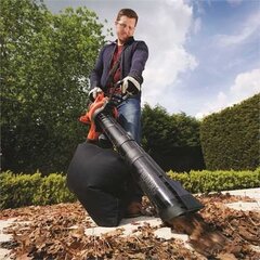 Black&Decker GW3030 kaina ir informacija | Lapų siurbliai, šakų smulkintuvai, trinkelių valytuvai | pigu.lt