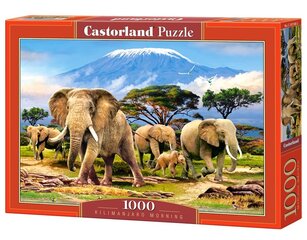 Пазл Castorland Kilimanjaro Morning, 1000 дет. цена и информация | Пазлы | pigu.lt