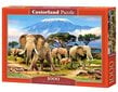 Dėlionė Castorland Puzzle Kilimanjaro Morning, 1000 d. kaina ir informacija | Dėlionės (puzzle) | pigu.lt