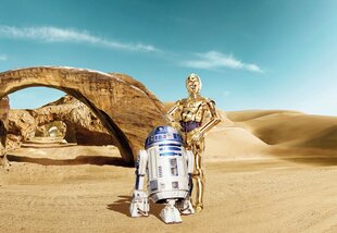 Star Wars Lost Droids цена и информация | Фотообои с инструментом и клеем - Бежевые листья эвкалипта, 400x280 см | pigu.lt