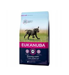 Eukanuba сухой корм для щенков крупных пород  до 12 месяцев, со свежей курицей, 15 кг цена и информация | Сухой корм для собак | pigu.lt