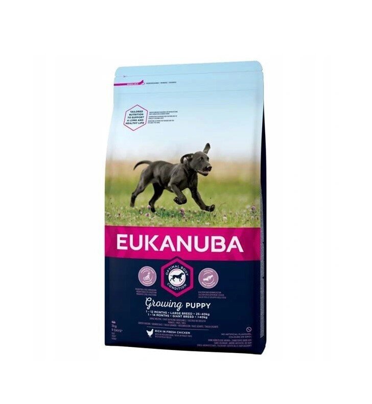 Eukanuba sausas pašaras didelių veislių šuniukams iki 12 mėn., su šviežia vištiena, 15 kg цена и информация | Sausas maistas šunims | pigu.lt