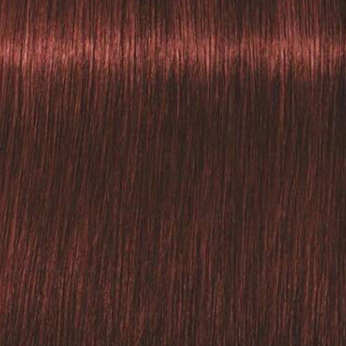 Plaukų dažai Schwarzkopf Professional Igora Royal Absolutes 60 ml, 5-80 Light Brown Red Nature kaina ir informacija | Plaukų dažai | pigu.lt