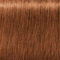 Plaukų dažai Schwarzkopf Professional Igora Royal Absolutes 60 ml, 7-710 Medium Blonde Copper kaina ir informacija | Plaukų dažai | pigu.lt