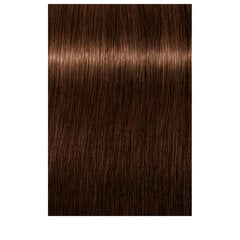 Plaukų dažai Schwarzkopf Professional Igora Royal 60 ml, 5-57 Light Brown Golden Copper kaina ir informacija | Plaukų dažai | pigu.lt