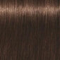 Plaukų dažai Schwarzkopf Professional Igora Royal Absolutes 60 ml, 5-60 Light Brown Chocolate Natural цена и информация | Plaukų dažai | pigu.lt