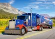 Dėlionė Castorland Kenworth W 900, 260 det. kaina ir informacija | Dėlionės (puzzle) | pigu.lt