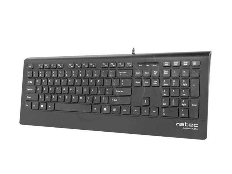 Natec Mulitmedia Keyboard BARRACUDA Slim USB, US layout, Black kaina ir informacija | Klaviatūros | pigu.lt