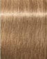 Plaukų dažai Schwarzkopf Professional Igora Royal Nude Tones 60 ml, 8-46 Light Blonde Beige Chocolate kaina ir informacija | Plaukų dažai | pigu.lt