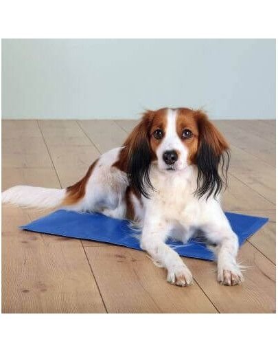 Trixie vėsinantis kilimėlis šunims, 40x50 cm kaina ir informacija | Guoliai, pagalvėlės | pigu.lt