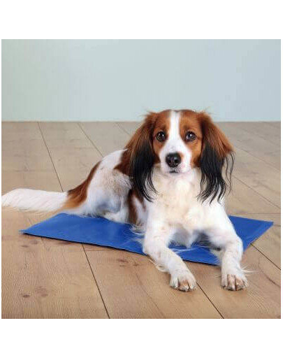 Trixie vėsinantis kilimėlis šunims, 40x30 cm kaina ir informacija | Guoliai, pagalvėlės | pigu.lt