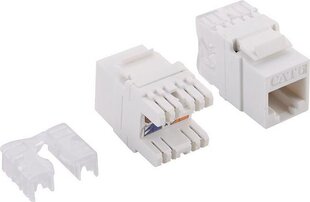 LogiLink NK4005 kaina ir informacija | Adapteriai, USB šakotuvai | pigu.lt