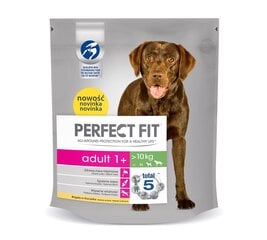 Perfect Fit Adult su vištiena, M-L, 5 x 825 g kaina ir informacija | Sausas maistas šunims | pigu.lt