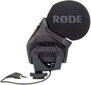 Mikrofonas Rode Stereo VideoMic Pro Rycote цена и информация | Mikrofonai | pigu.lt