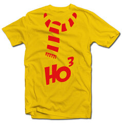 Футболка "Ho Ho Ho" цена и информация | Оригинальные футболки | pigu.lt