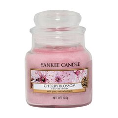 Ароматическая свеча Yankee Candle Cherry Blossom, 105 г цена и информация | Подсвечники, свечи | pigu.lt
