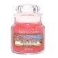Aromatinė žvakė Yankee Candle Garden By The Sea, 104 g kaina ir informacija | Žvakės, Žvakidės | pigu.lt