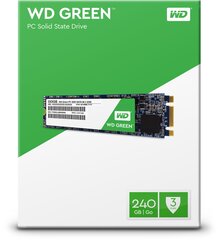 Western Digital WDS240G1G0B цена и информация | Внутренние жёсткие диски (HDD, SSD, Hybrid) | pigu.lt