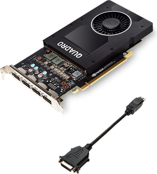 PNY Technologies NVIDIA Quadro P2000, 5 GB, GDDR5 kaina ir informacija | Vaizdo plokštės (GPU) | pigu.lt