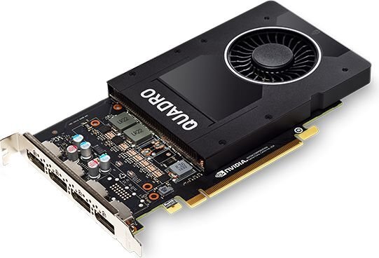 PNY Technologies NVIDIA Quadro P2000, 5 GB, GDDR5 kaina ir informacija | Vaizdo plokštės (GPU) | pigu.lt